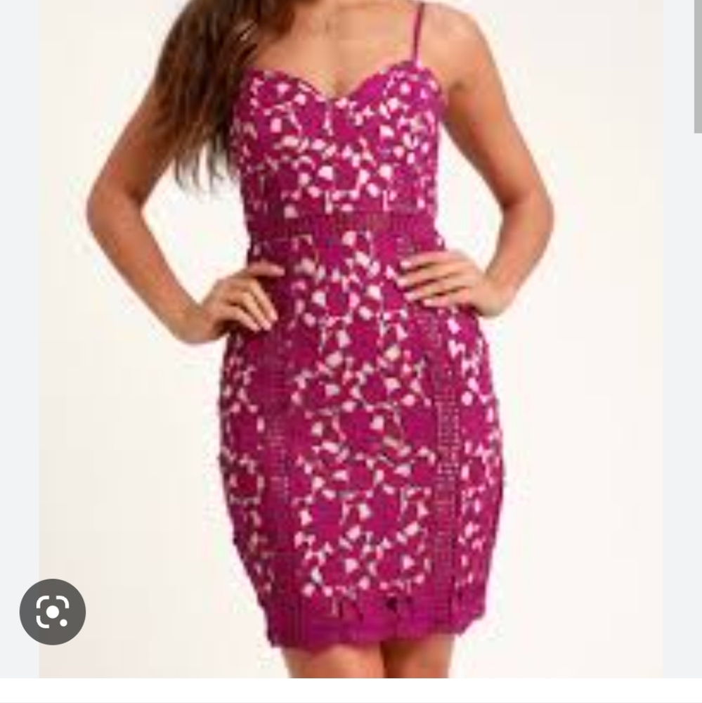 Nwt Lulus Giovanni Magenta Lace Sleeveless Sheath